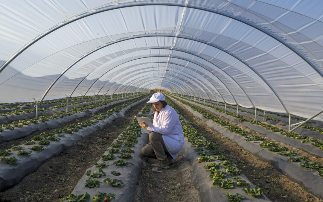 Techmer PM designs a more effective antifogging film for greenhouses