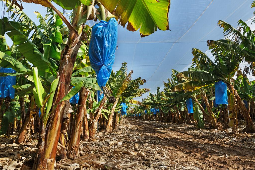 Visit Techmer PM at AMI’s Agriculture Film Americas